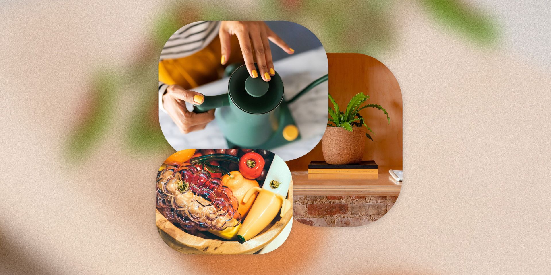 window shopping kettle, plant, and fruit bongs