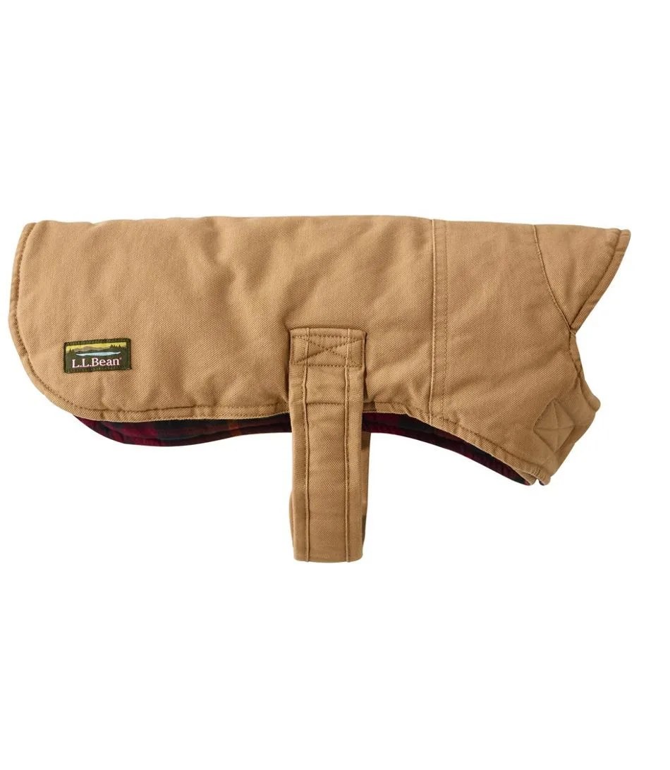 ll bean dog coat