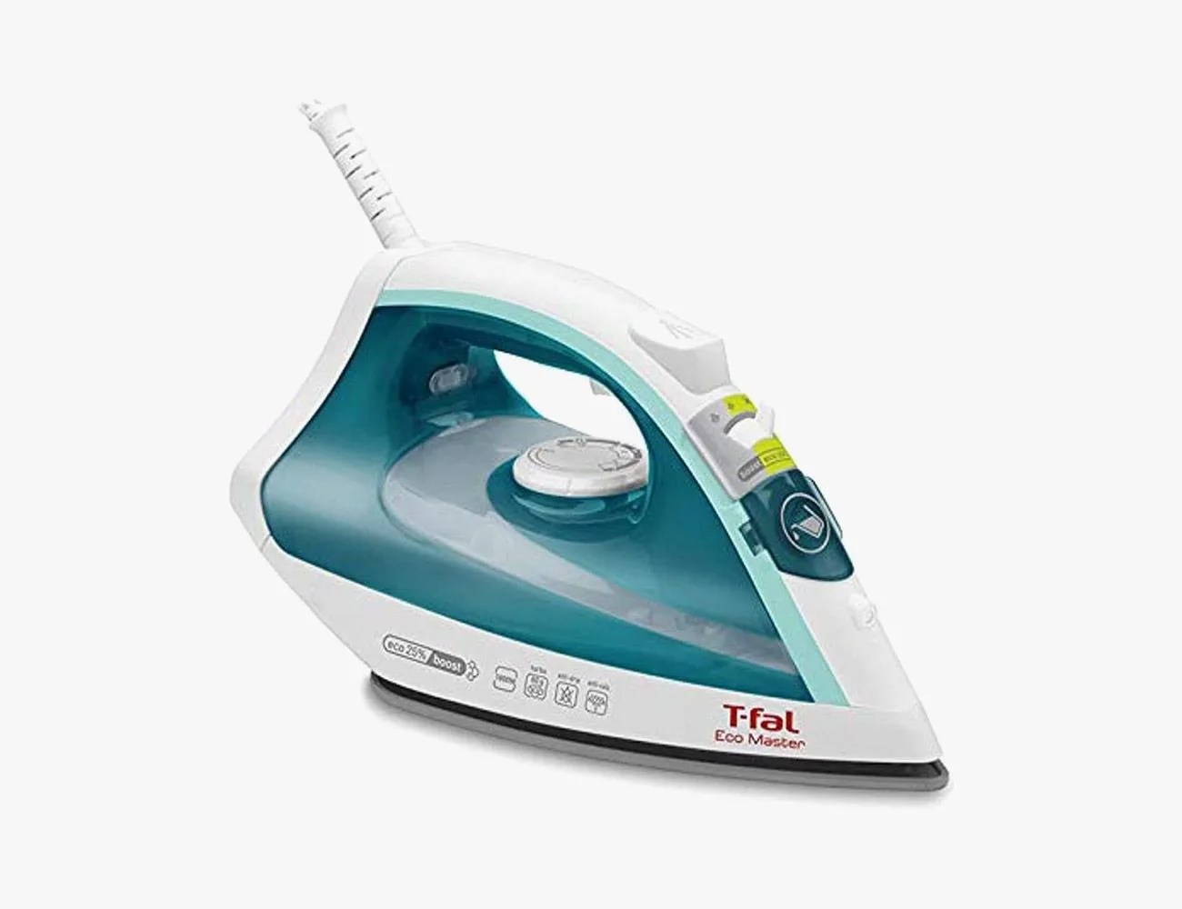 Ecomaster Steam Iron