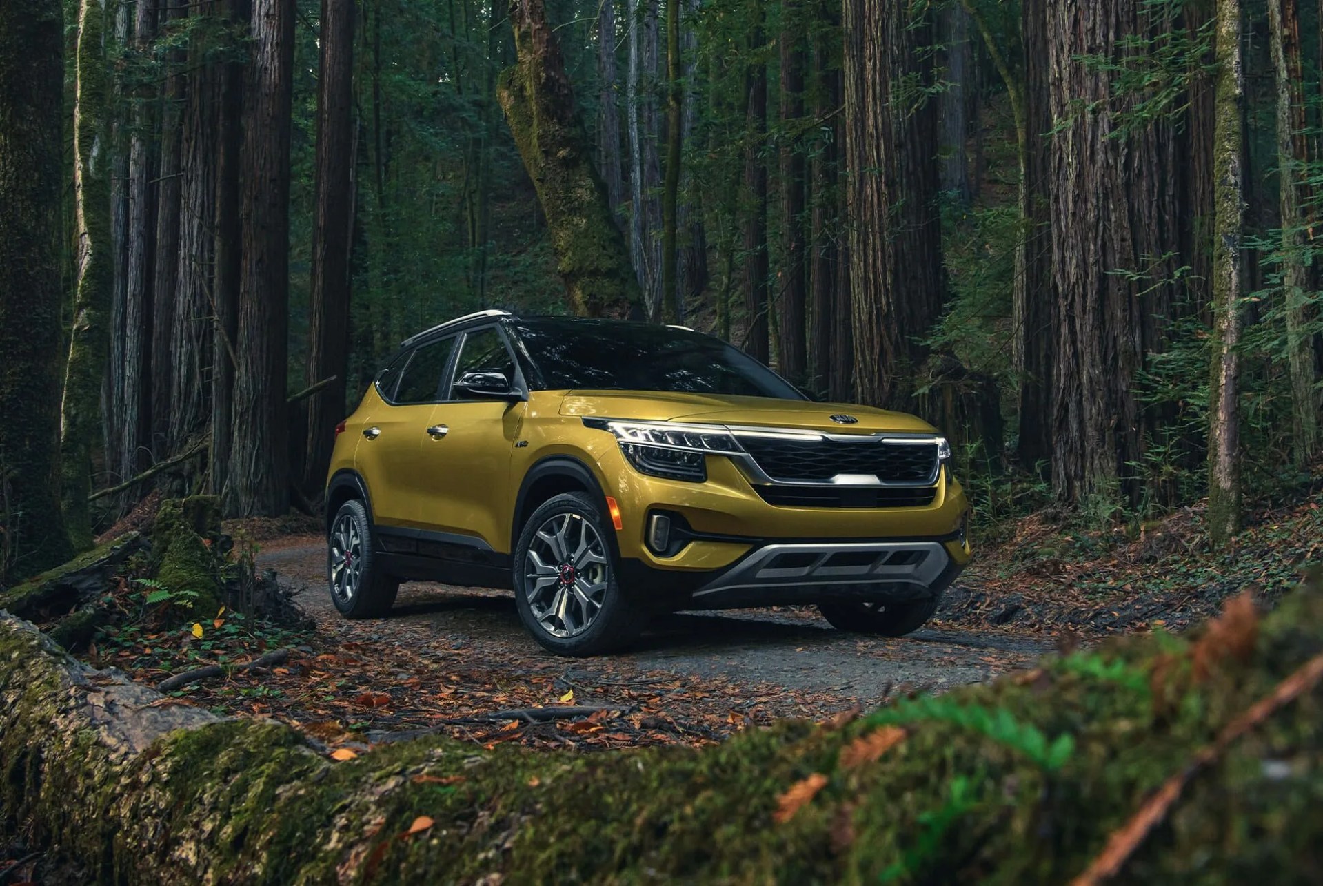 2021 kia seltos review gear patrol lead slide 1