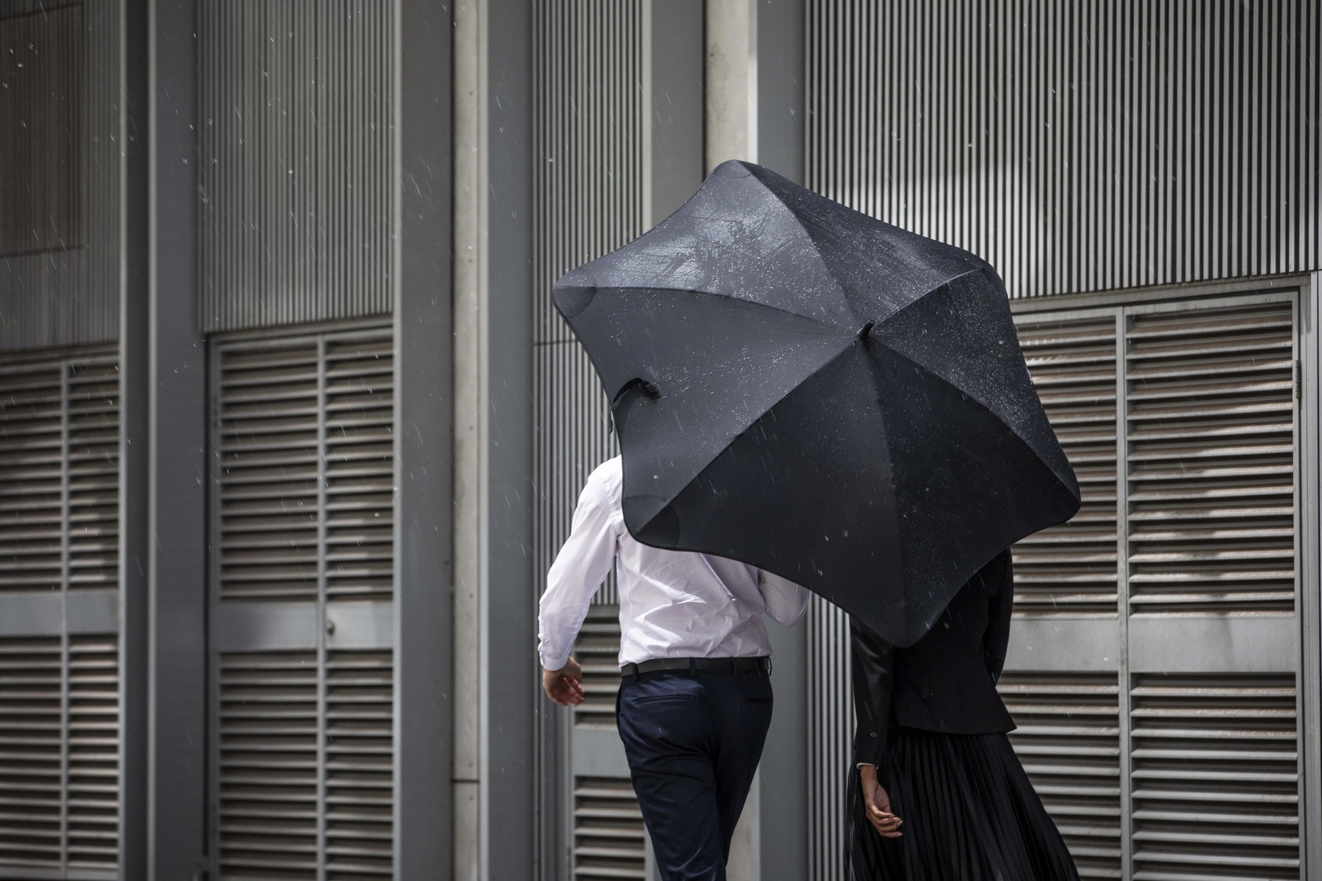 blunt umbrella