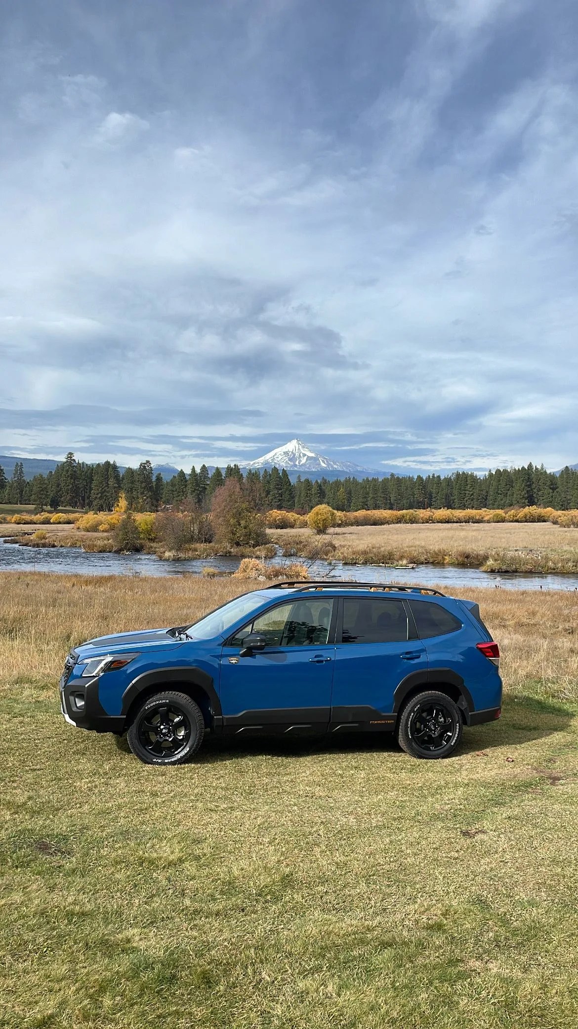 subaru forester wilderness 2022