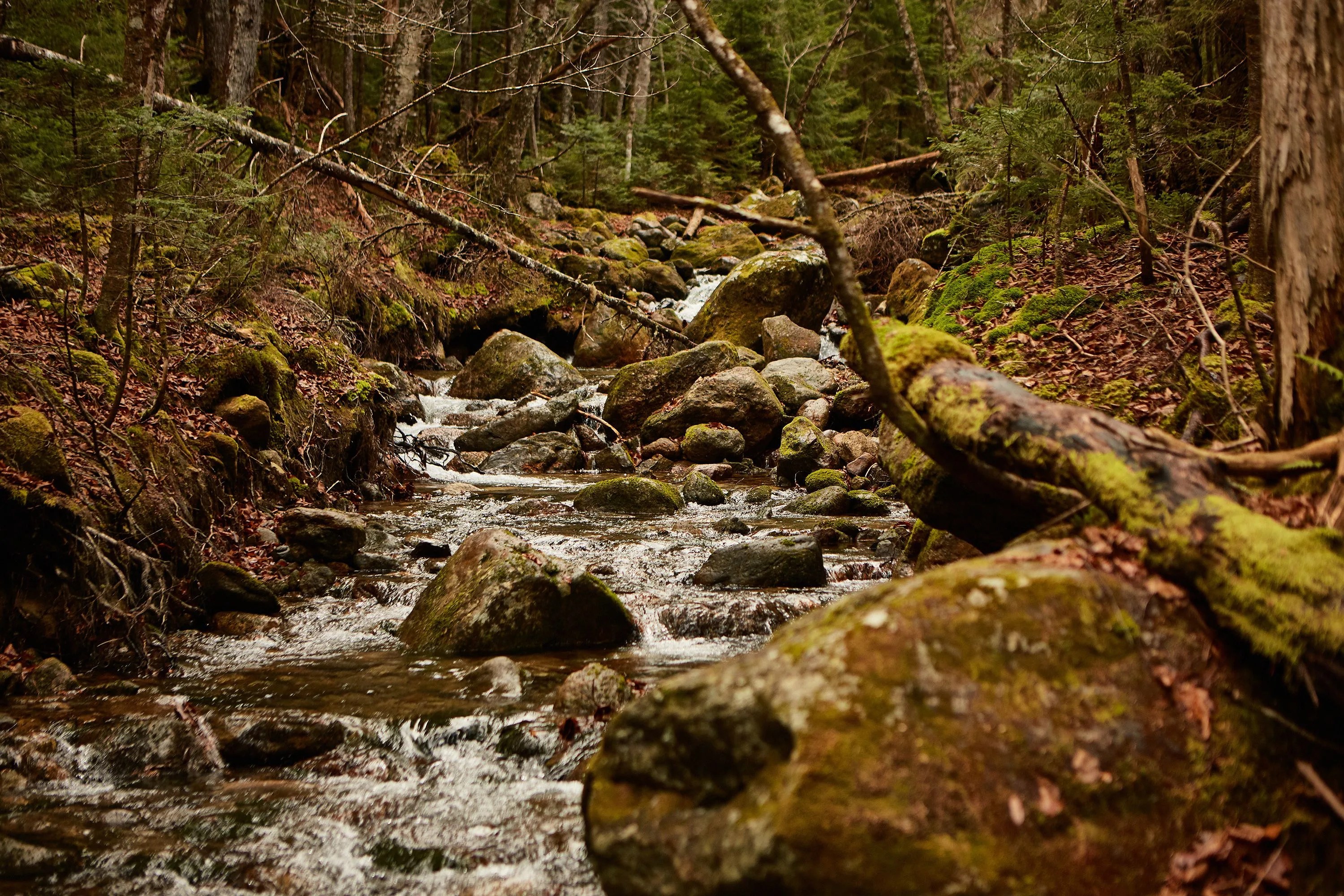 creek