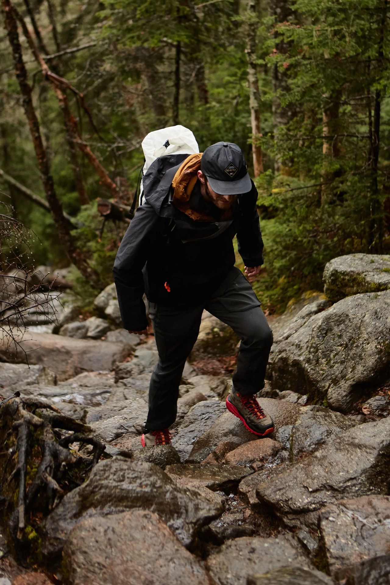 hiking