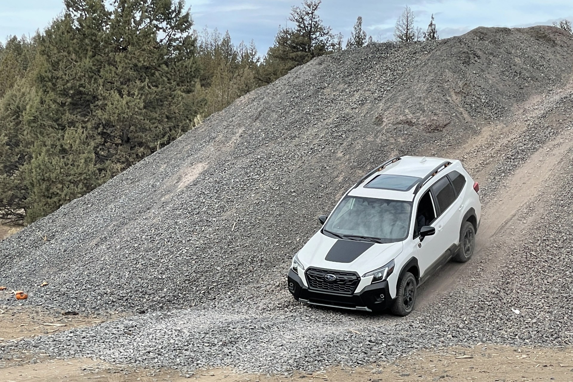 subaru forester wilderness 2022