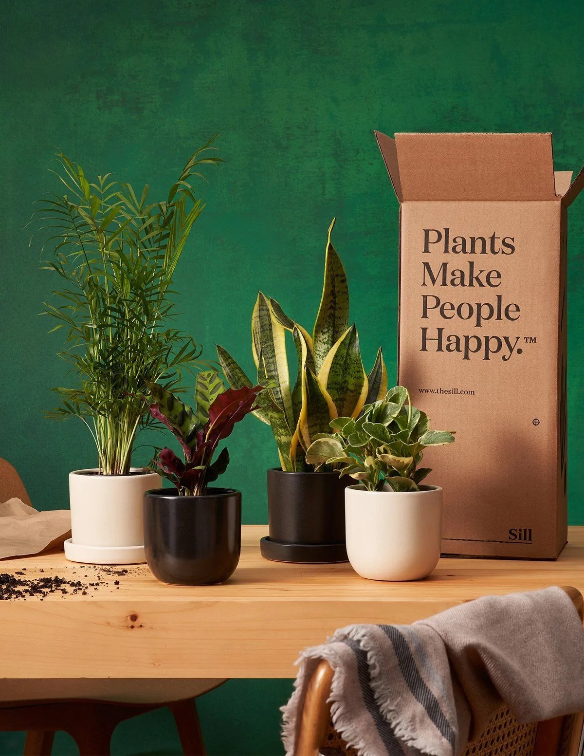plants