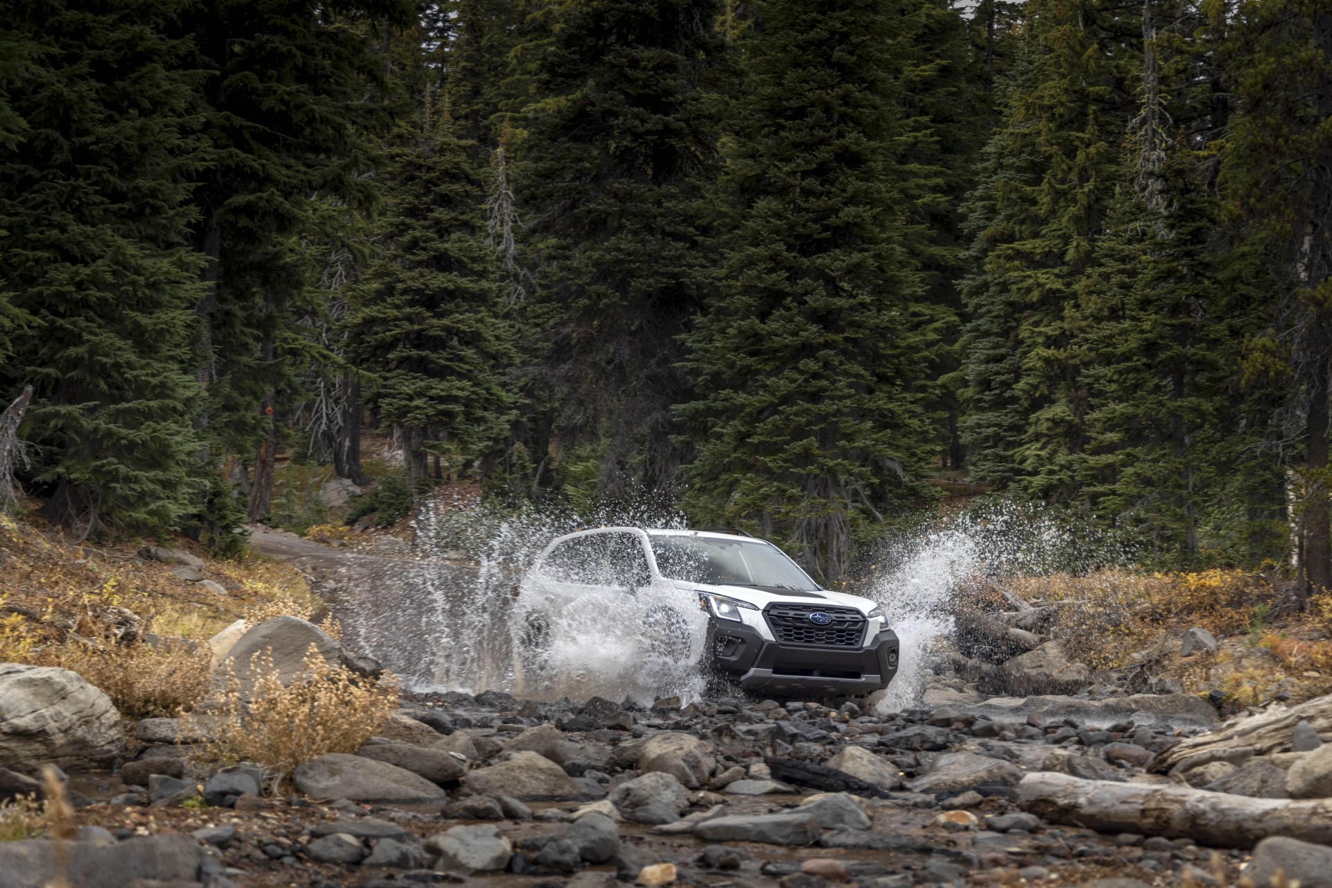 subaru forester wilderness 2022