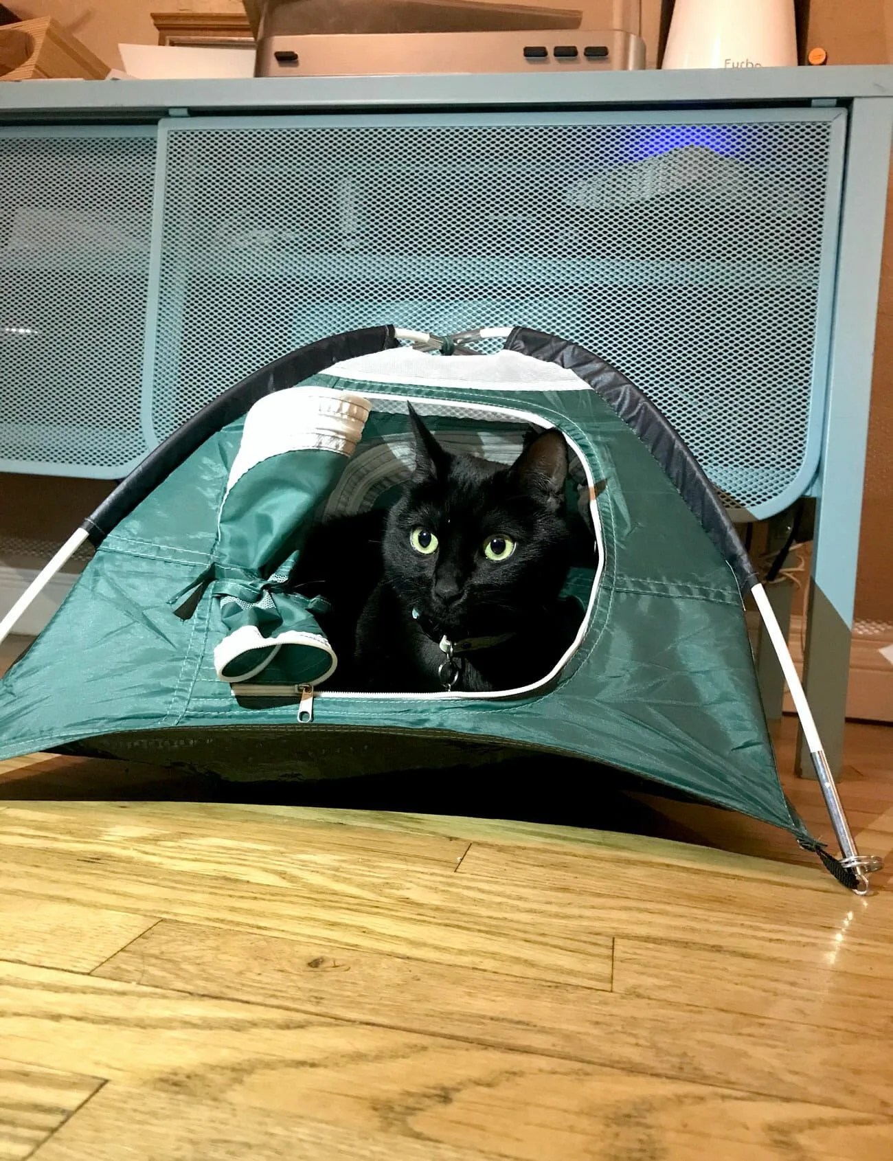 Tiny-Tent-Gear-Patrol-Ambiance-2