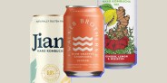 best hard kombucha