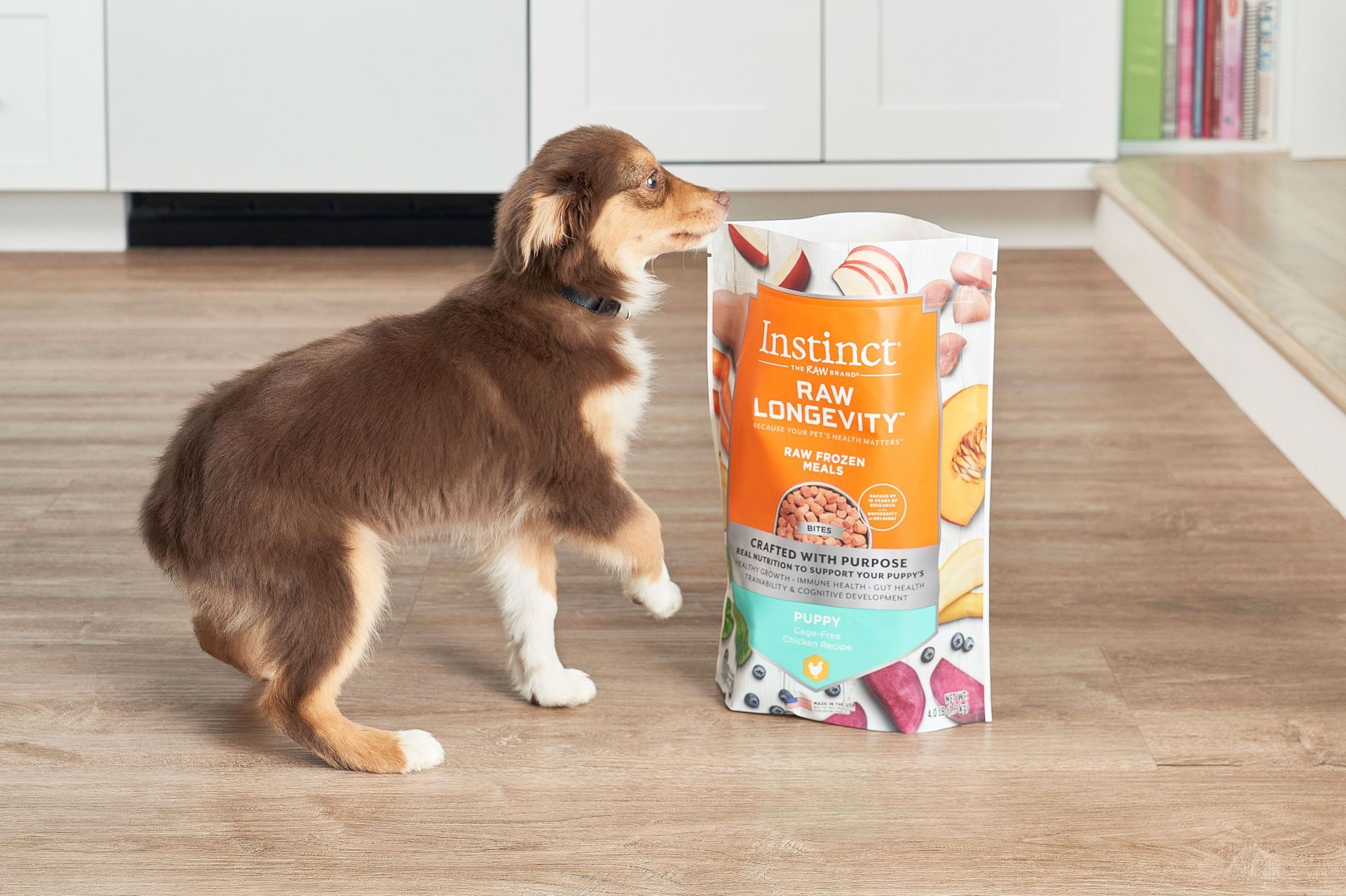 dog chewing on instinct pet kibble bag