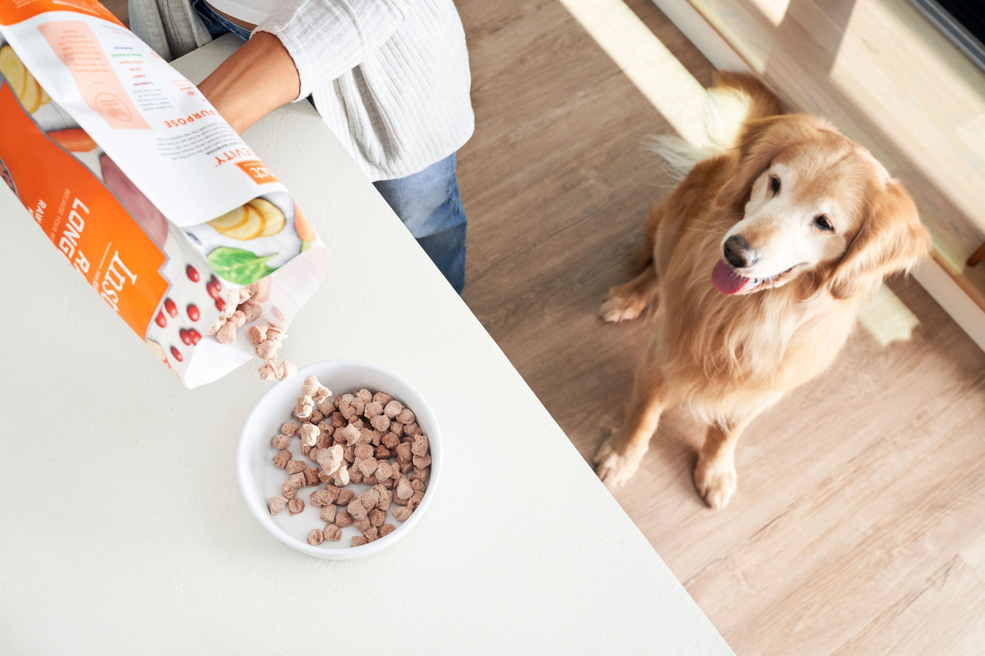 dog waiting to eat instinct pet kibble