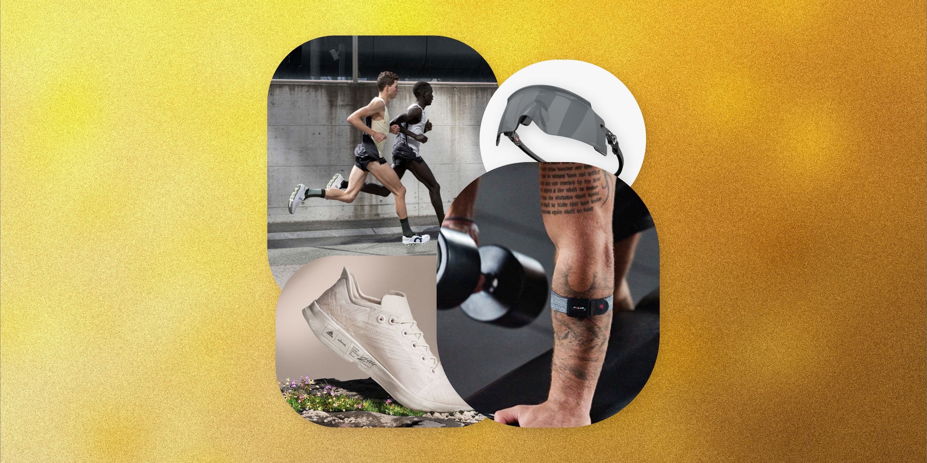 tyig fitness