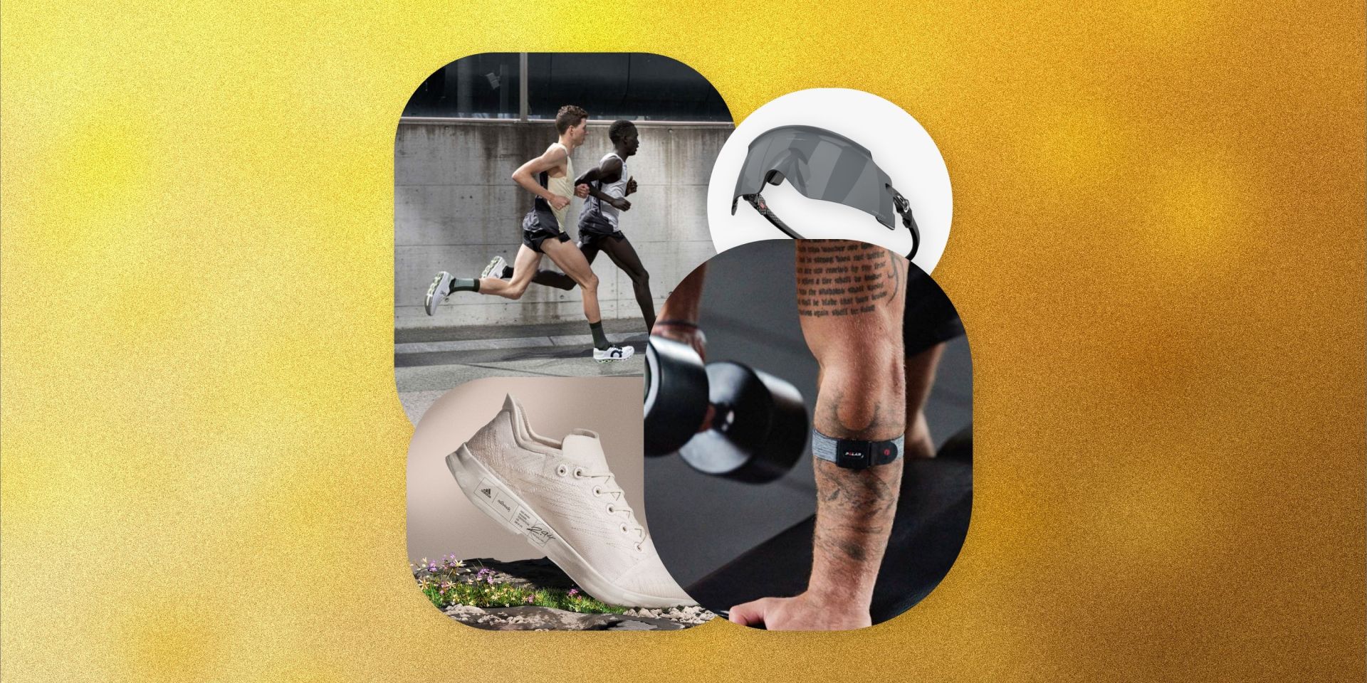 tyig fitness