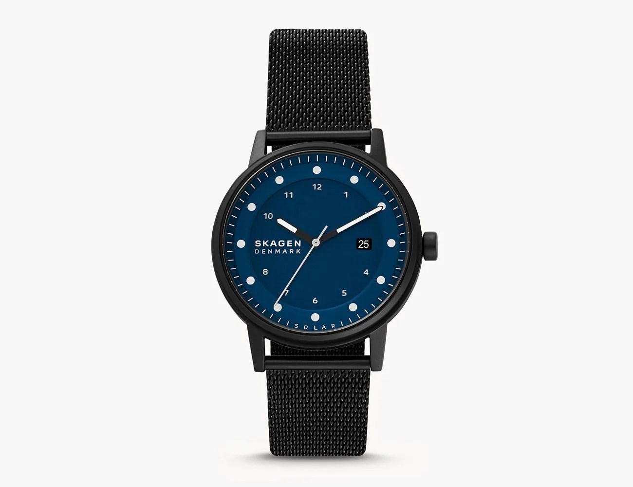 Skagen Ancher