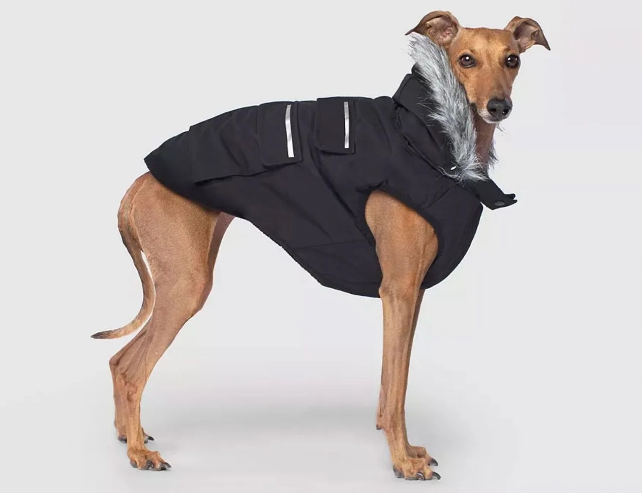 Everest Explorer Jacket