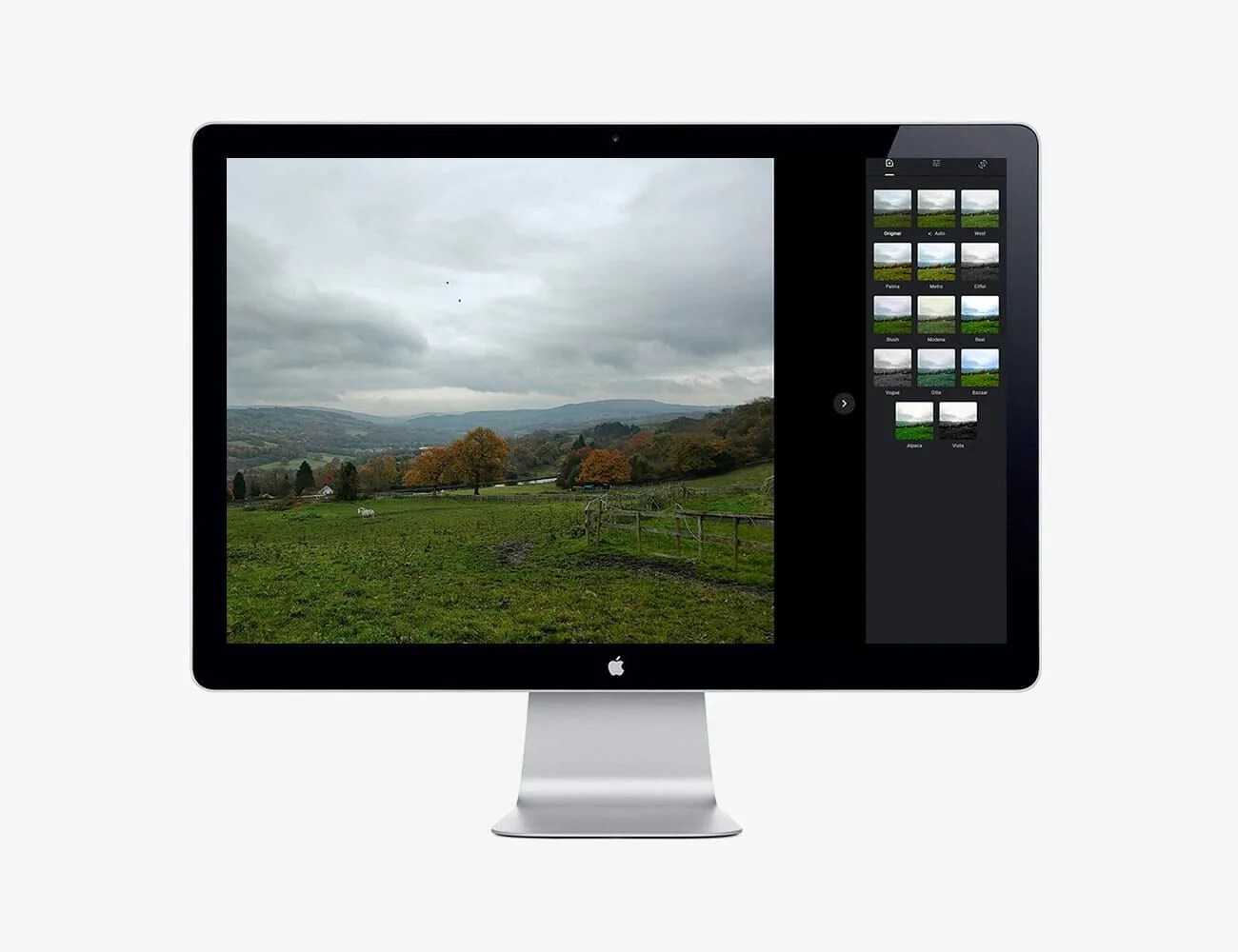 google photos tools