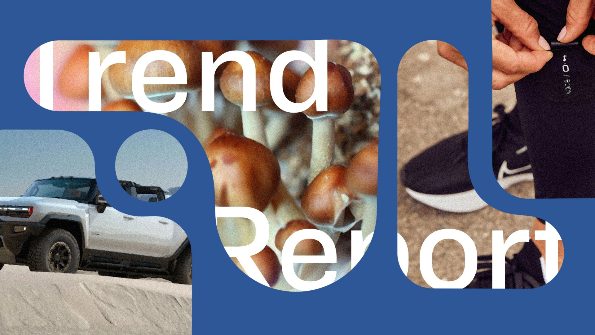 trend report 2022