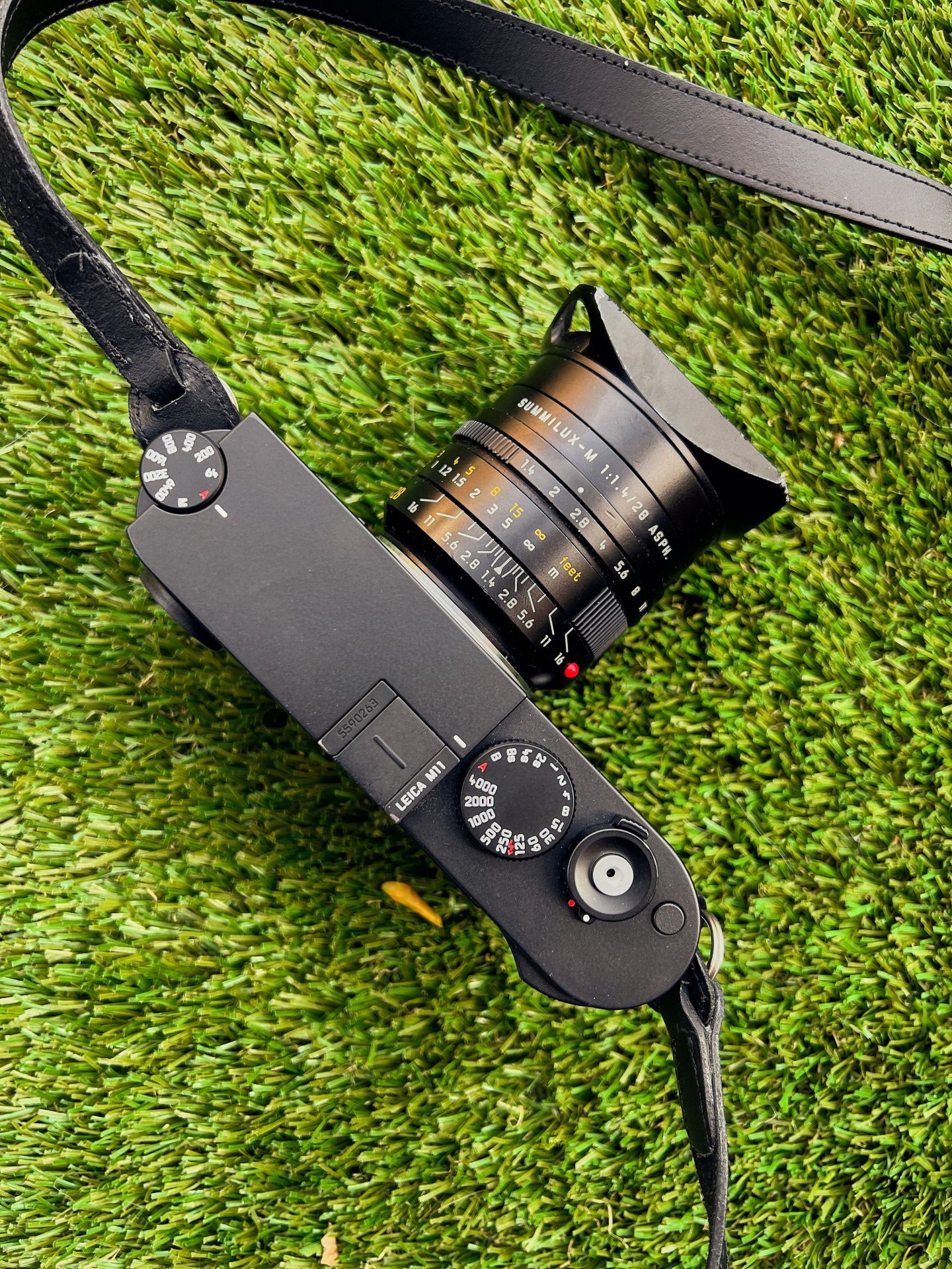 leica m11 top