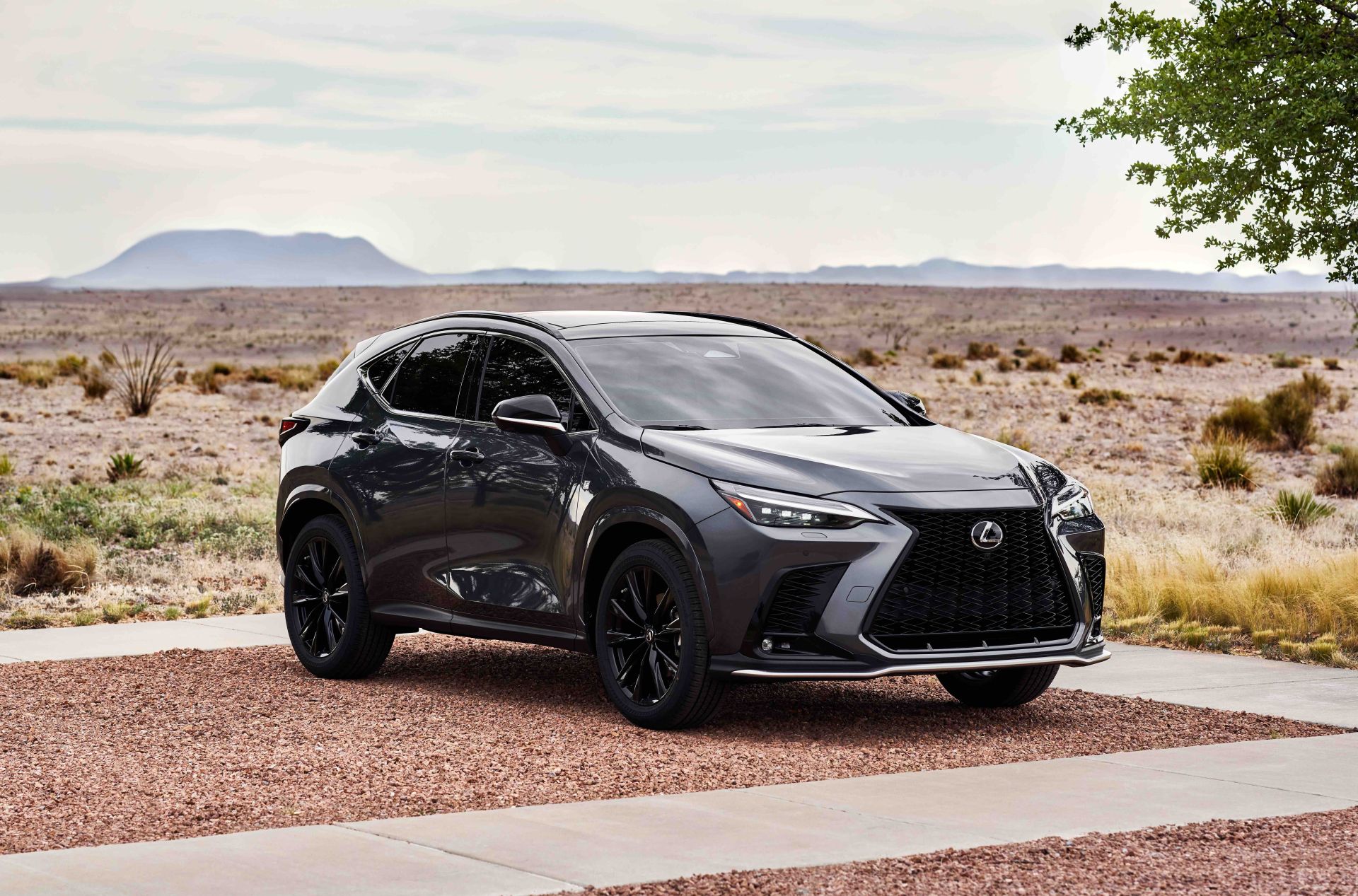 2022 lexus nx 350