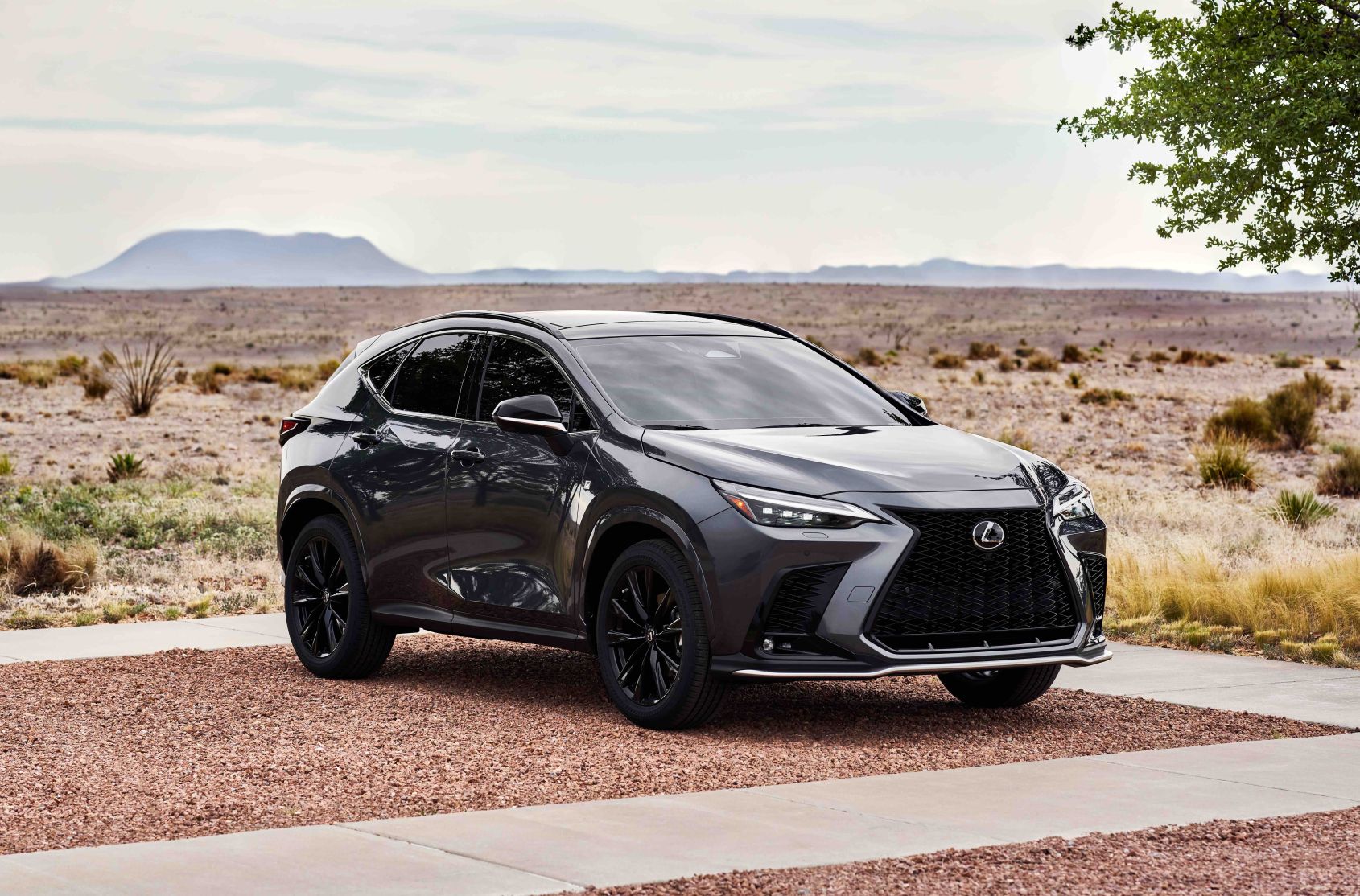 2022 lexus nx 350