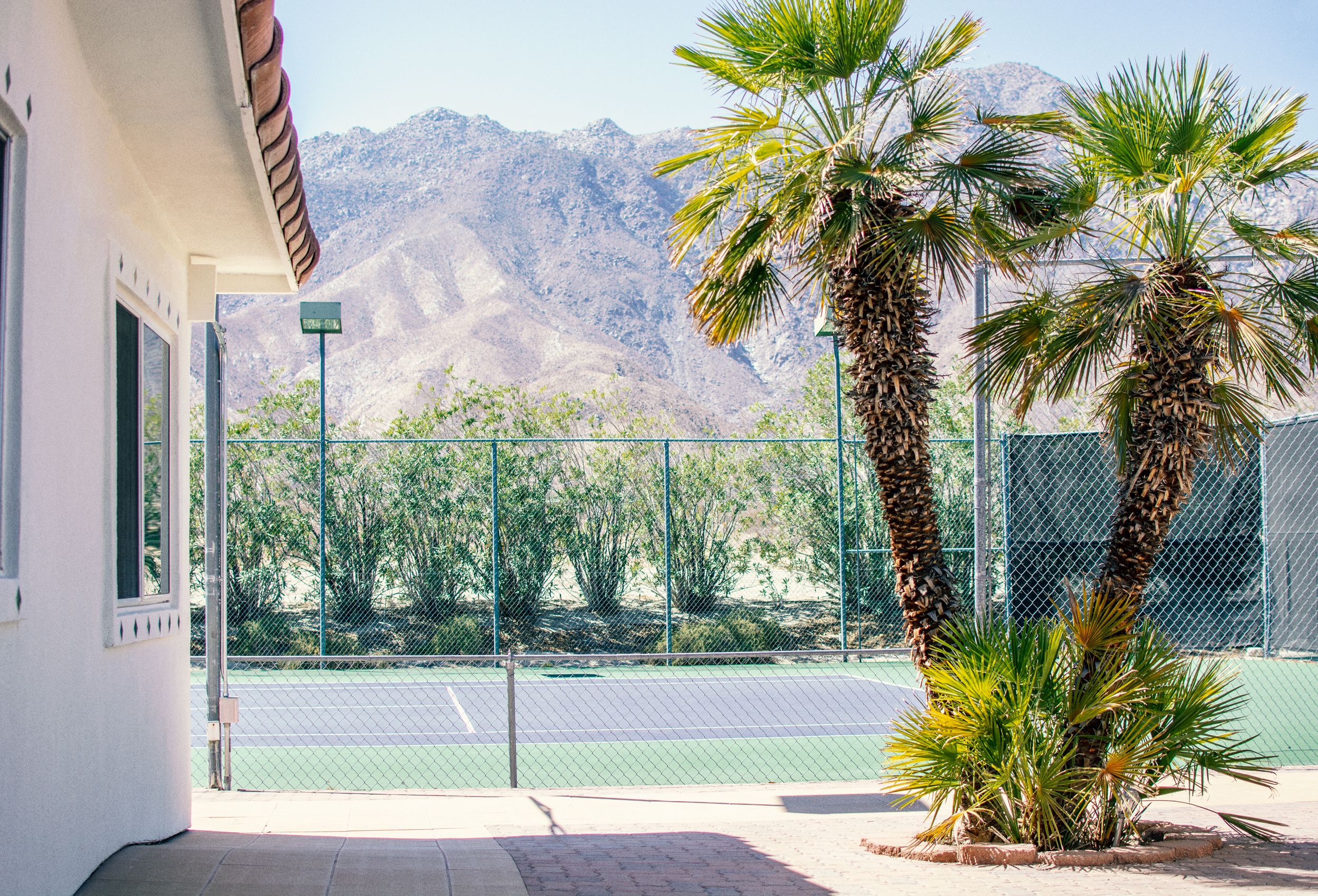 the courts