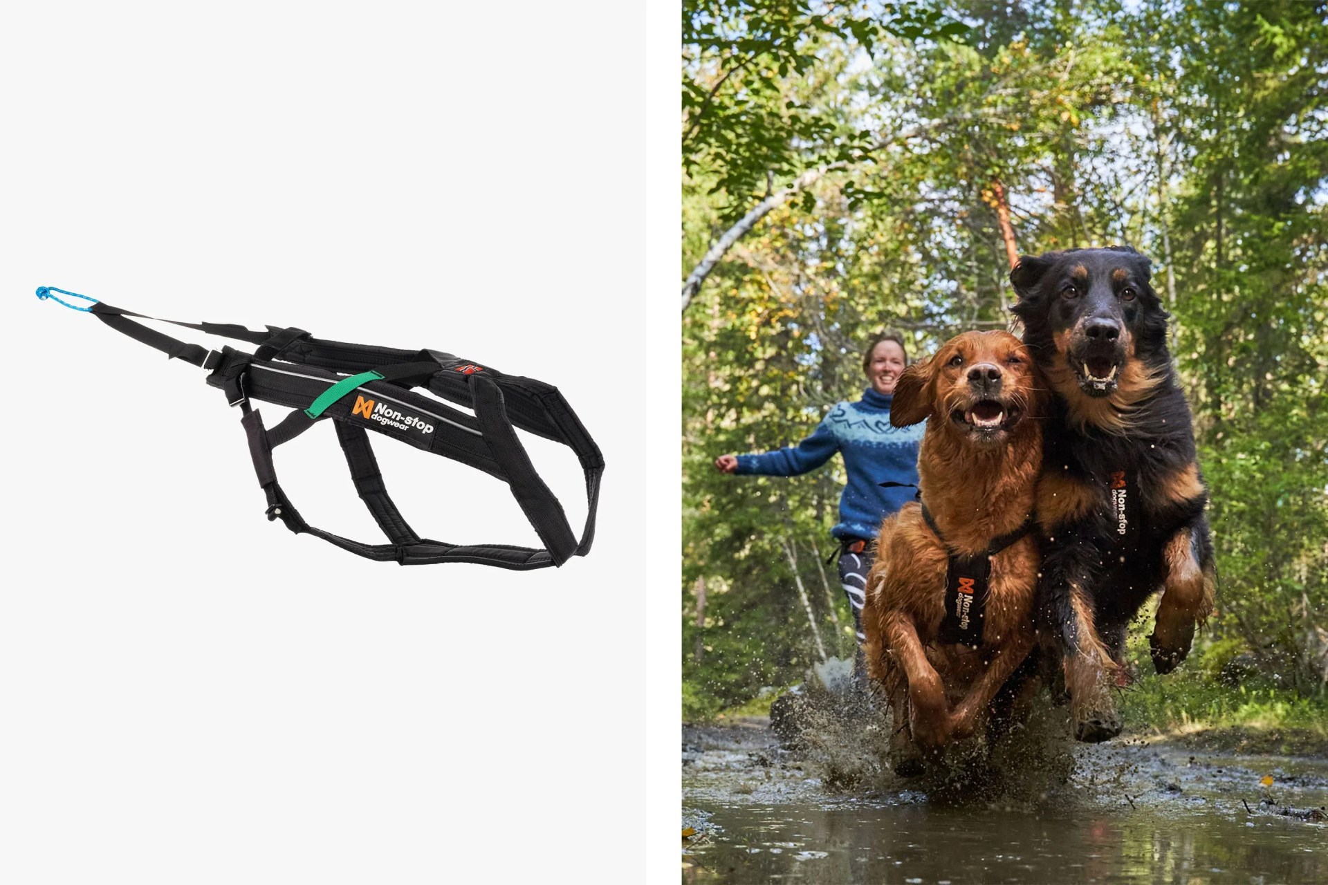 non stop dogwear harness with a woman walking two dogs