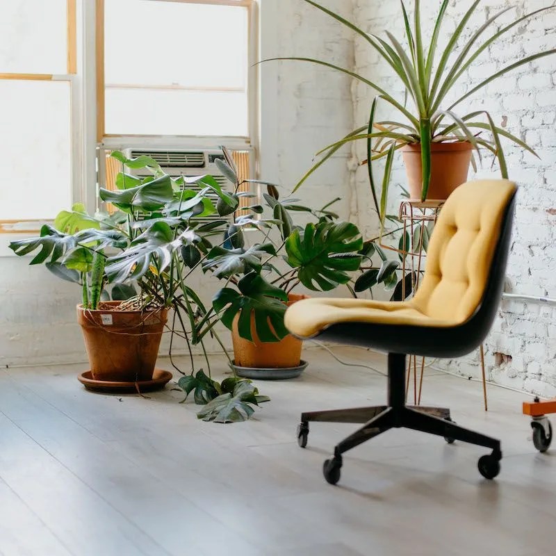 rolling chair