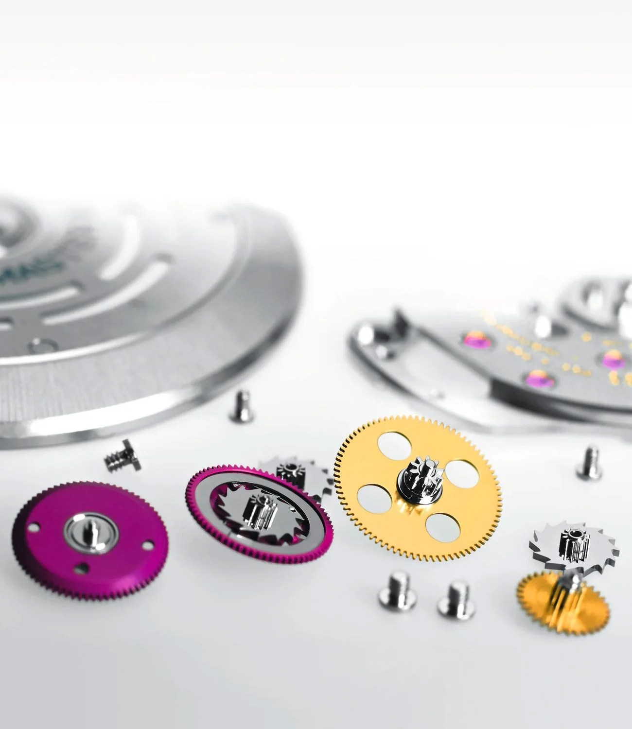 servicing watch