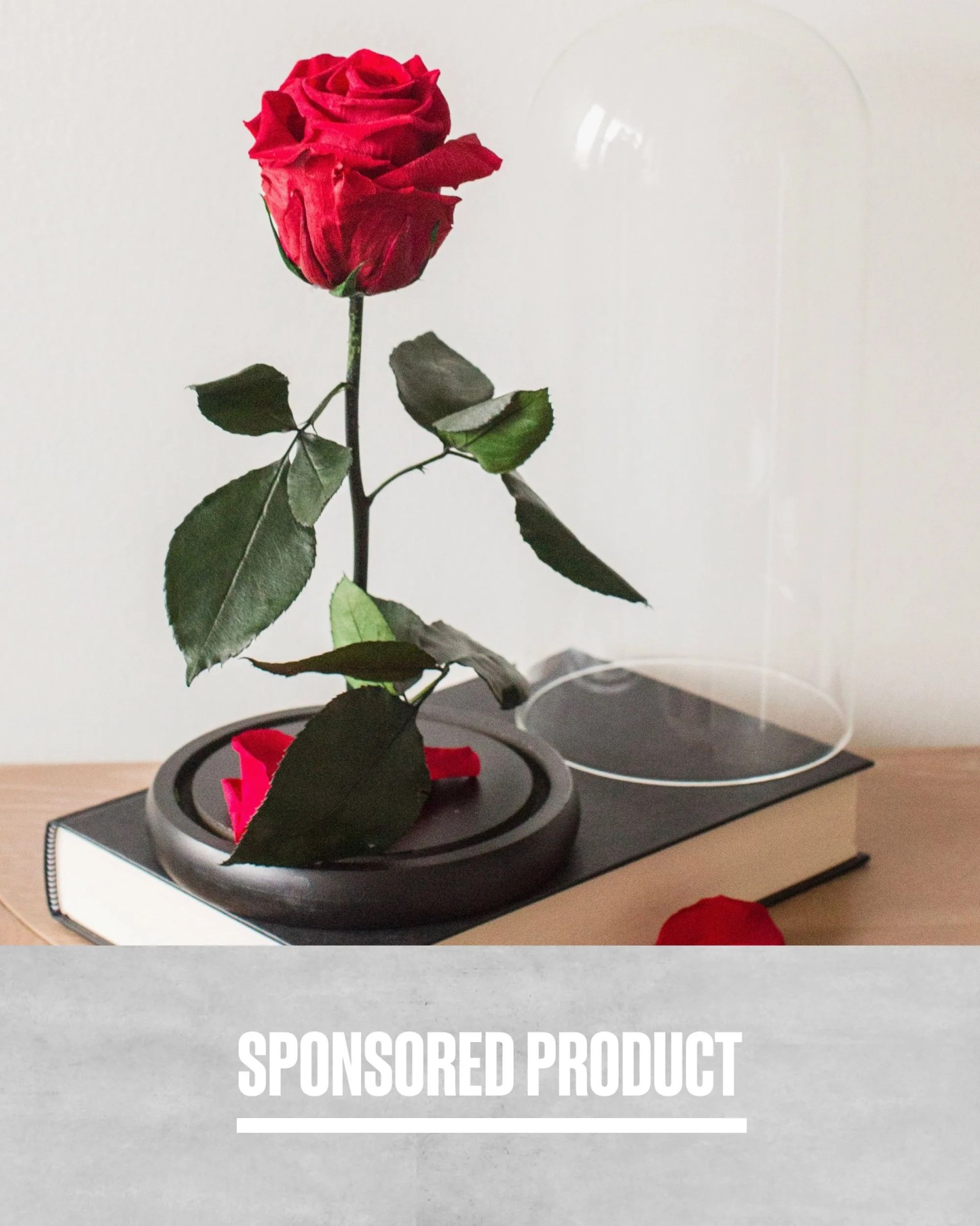 sponsored product rosephoria eternal rose