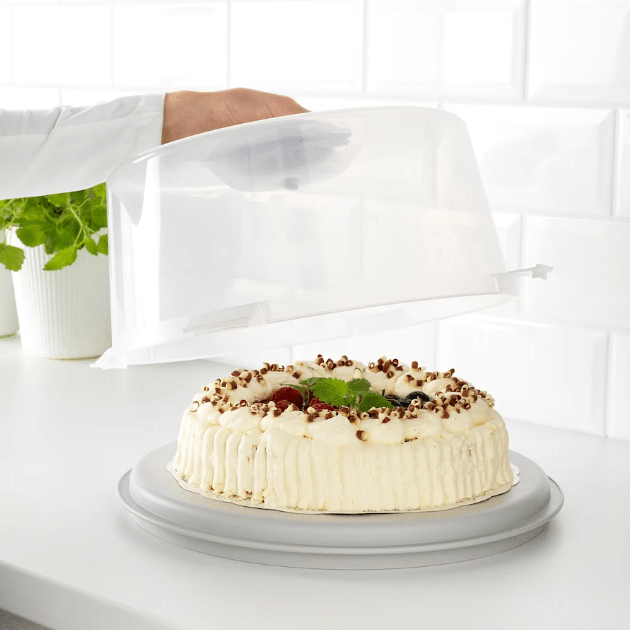 Krispig Cake Carrier