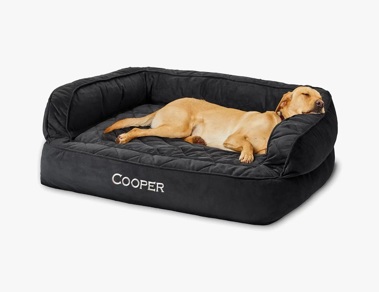 Orvis Memory Foam Couch Dog Bed