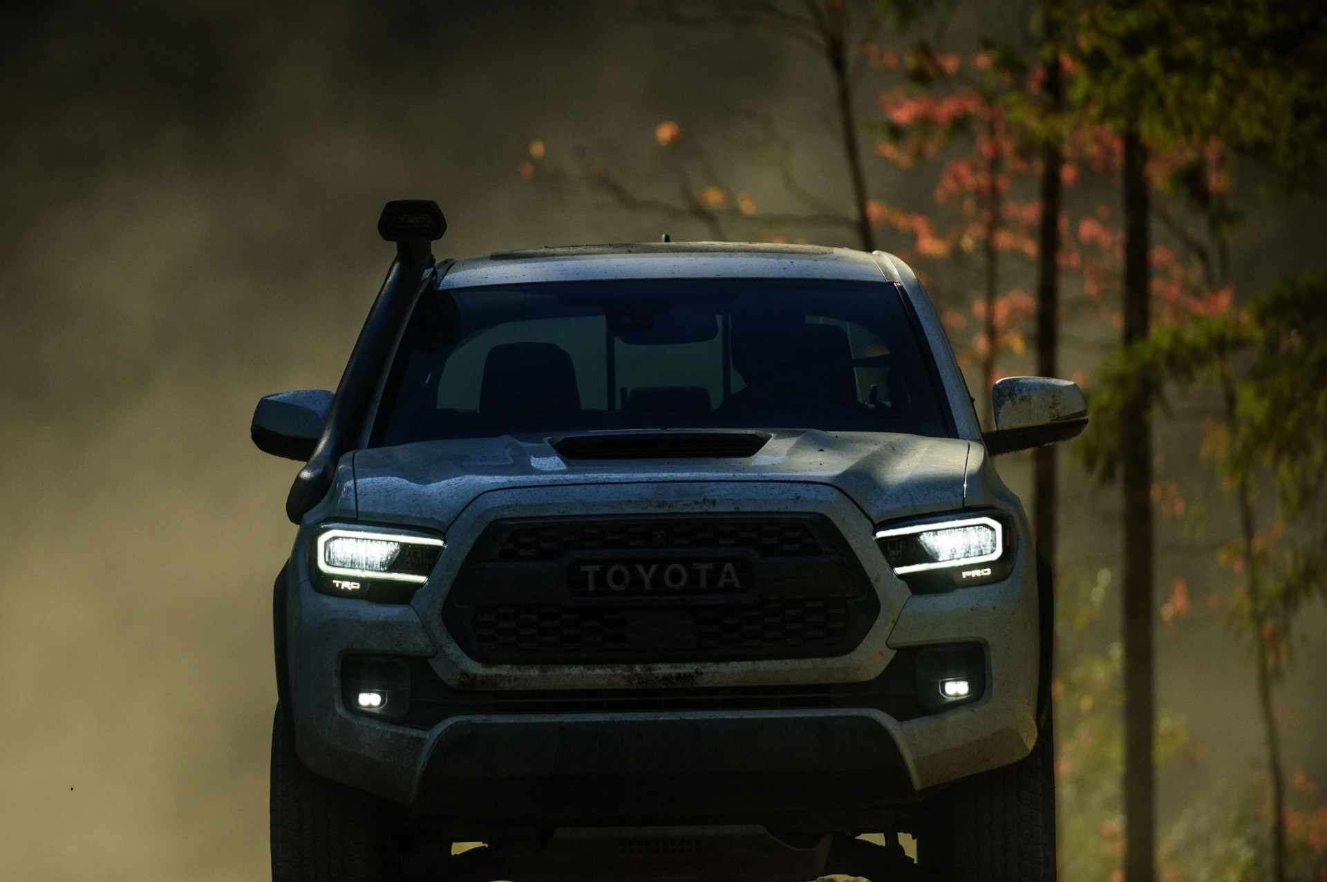 toyota tacoma future