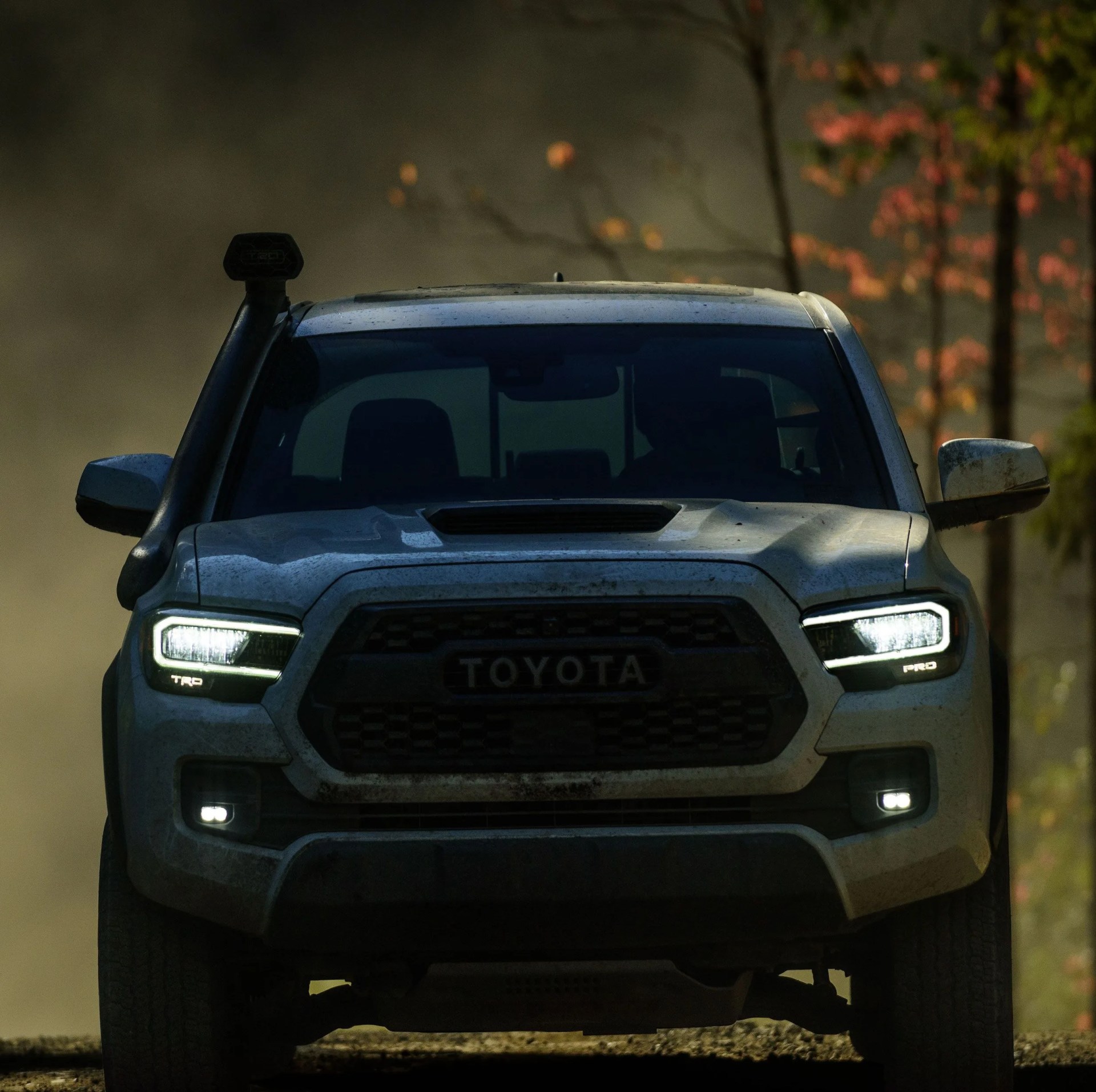 toyota tacoma future