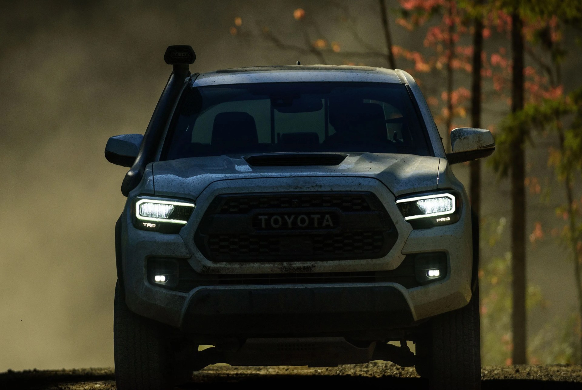 toyota tacoma future