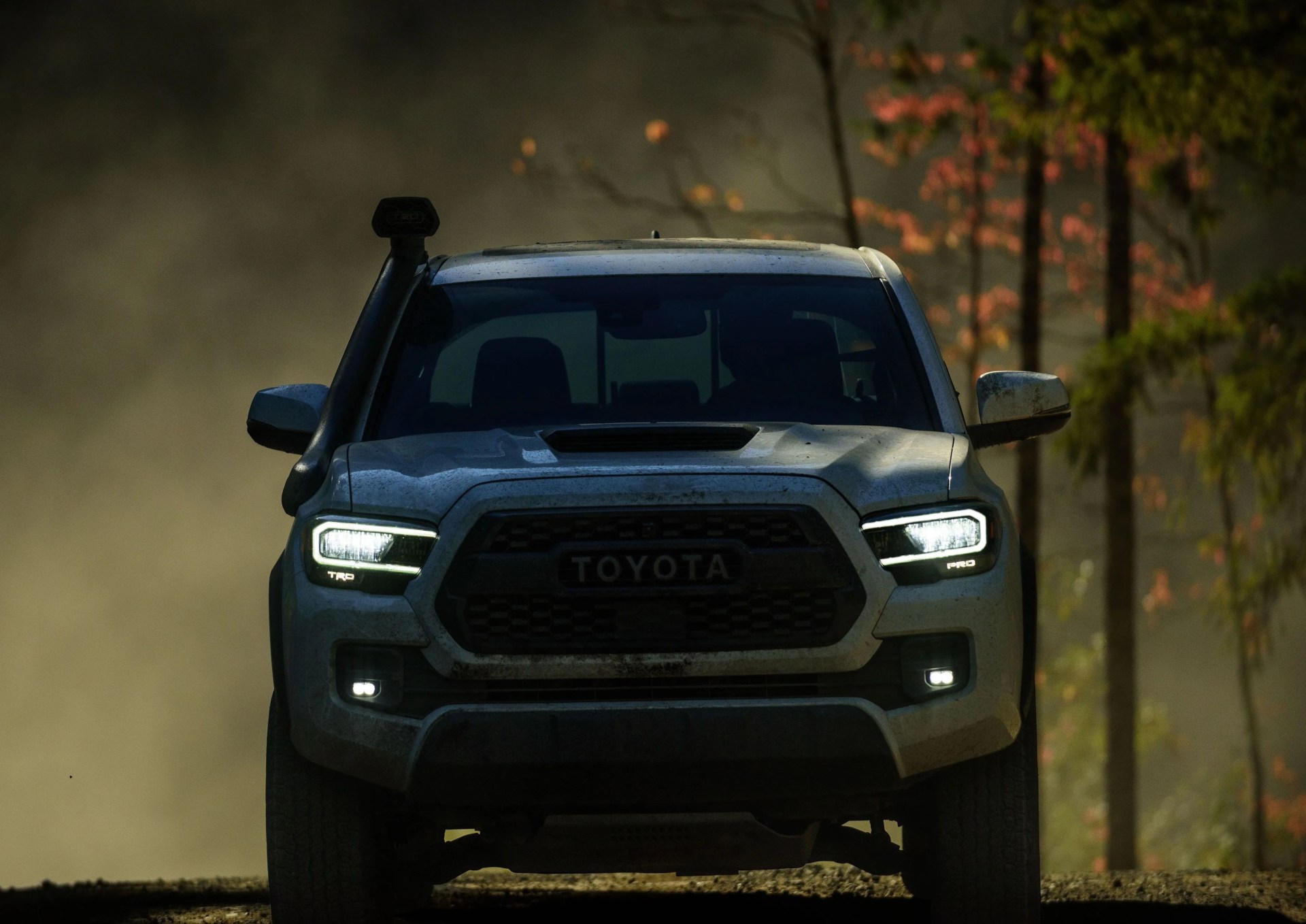 toyota tacoma future