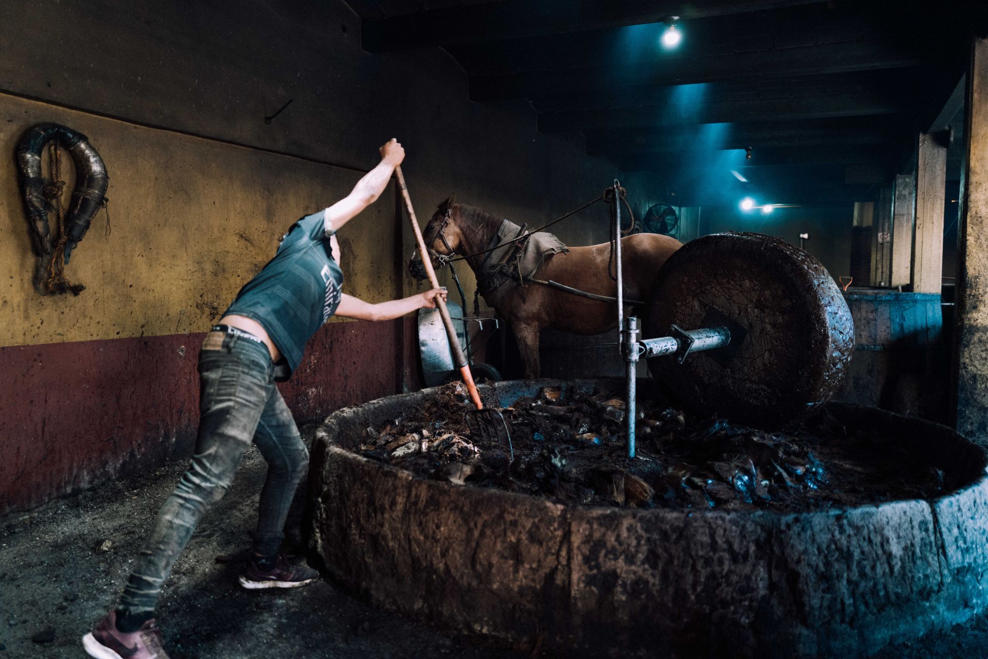 man stirring mixture inside of a grinder next to a horse