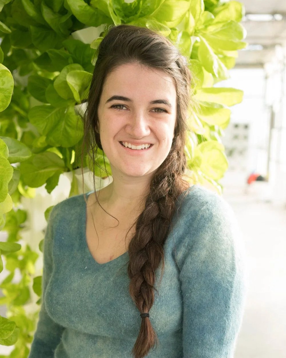 green matters natural dye company