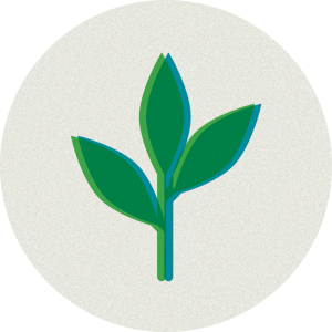 how to live sustainably