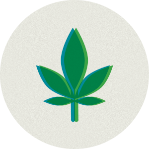 how to live sustainably