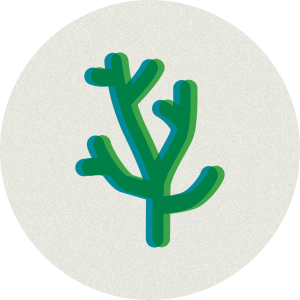 how to live sustainably