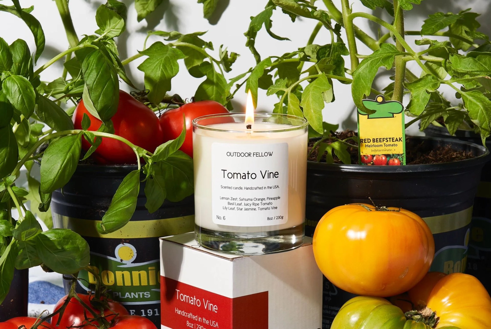 outdoor fellows tomato vine candle