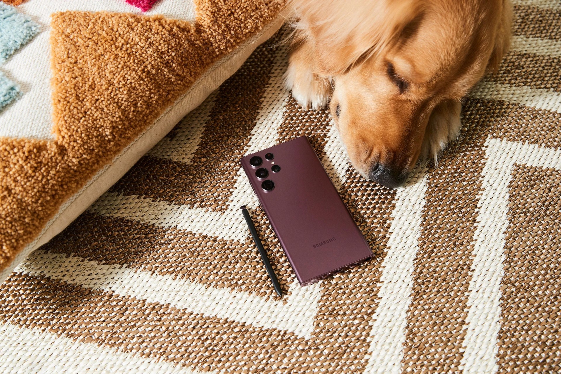 dog sleeping next to samsung galaxy s22 ultra