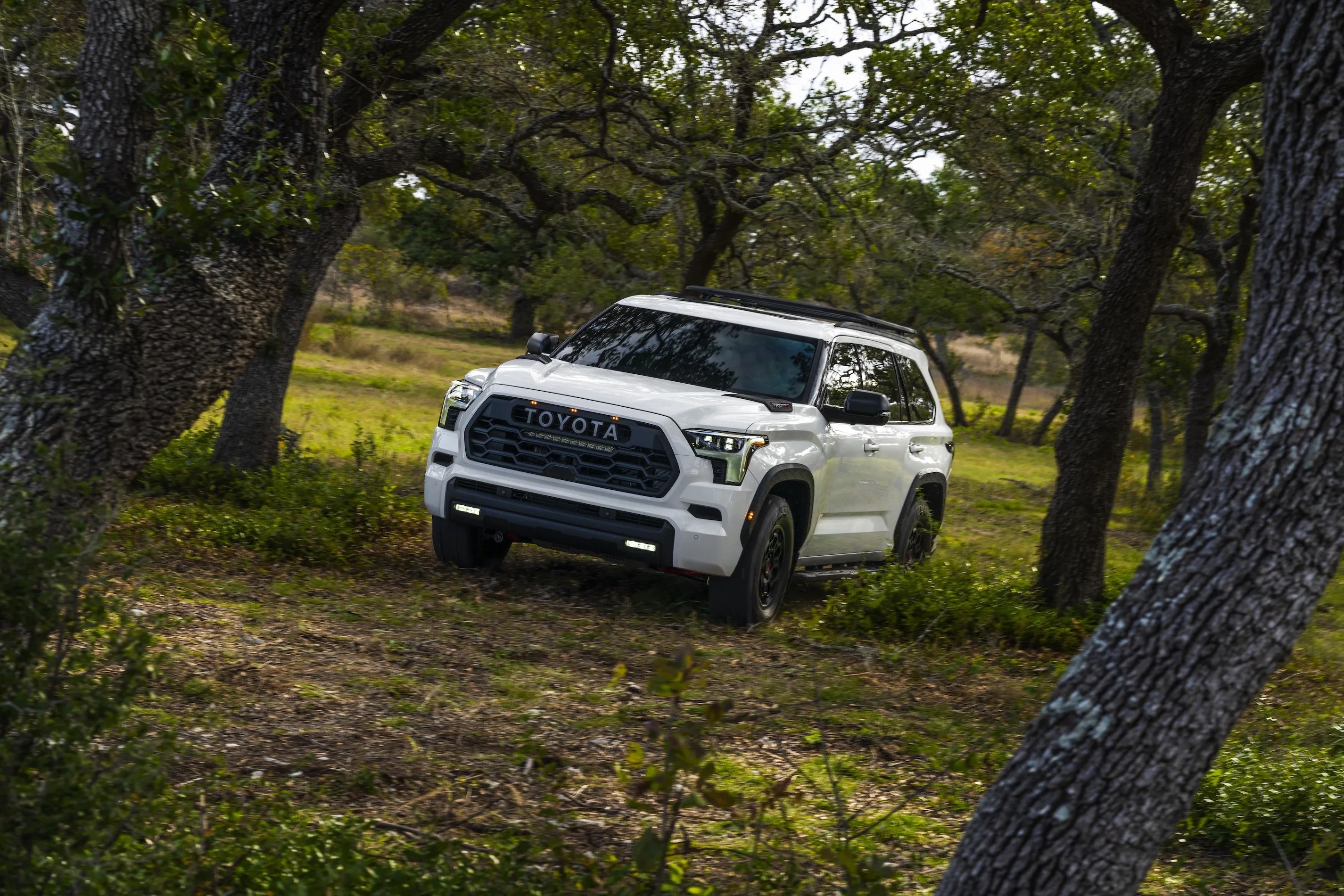 toyota sequoia