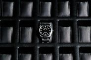 watch in watch box