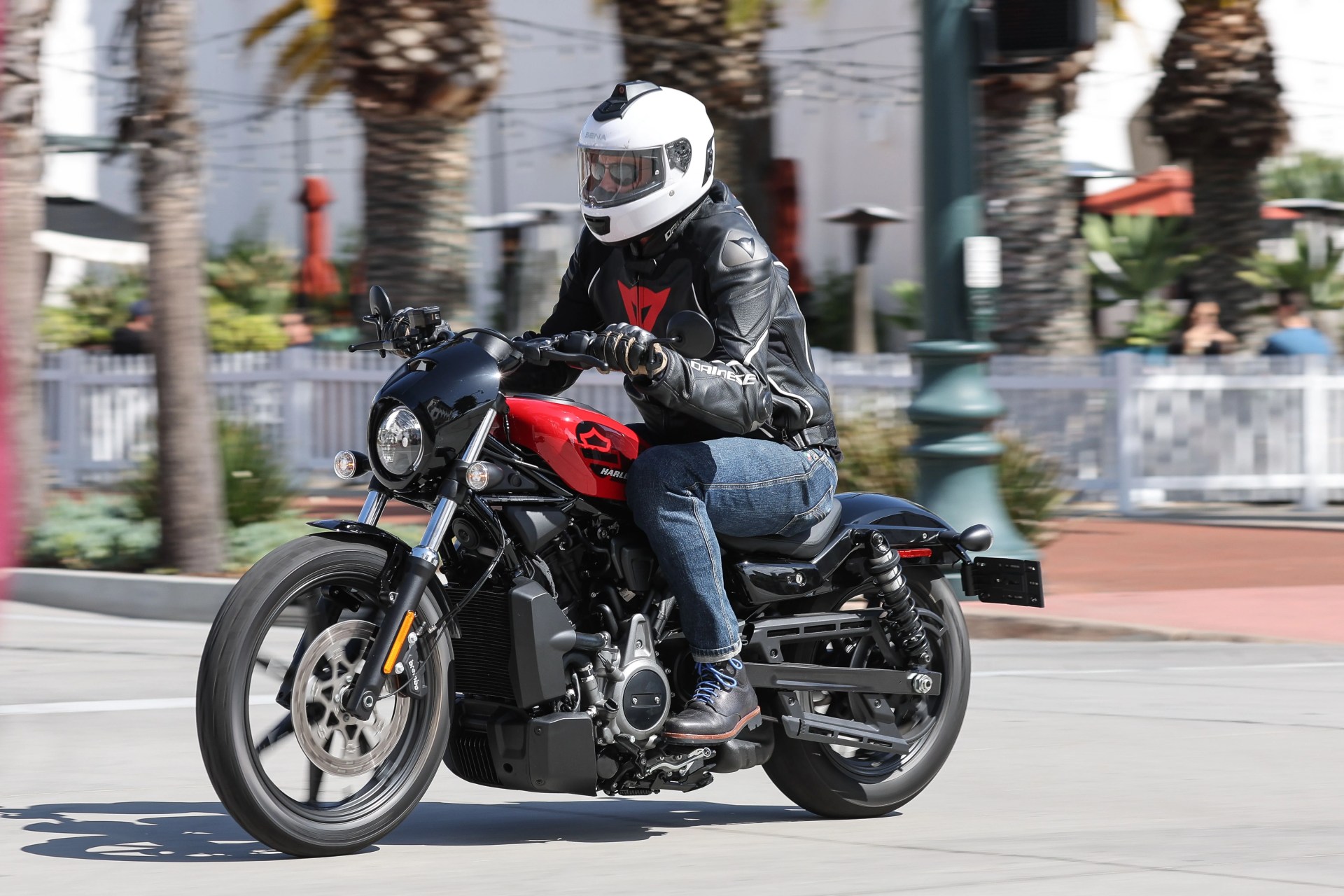 harley davidson nightster driving through santa barbara