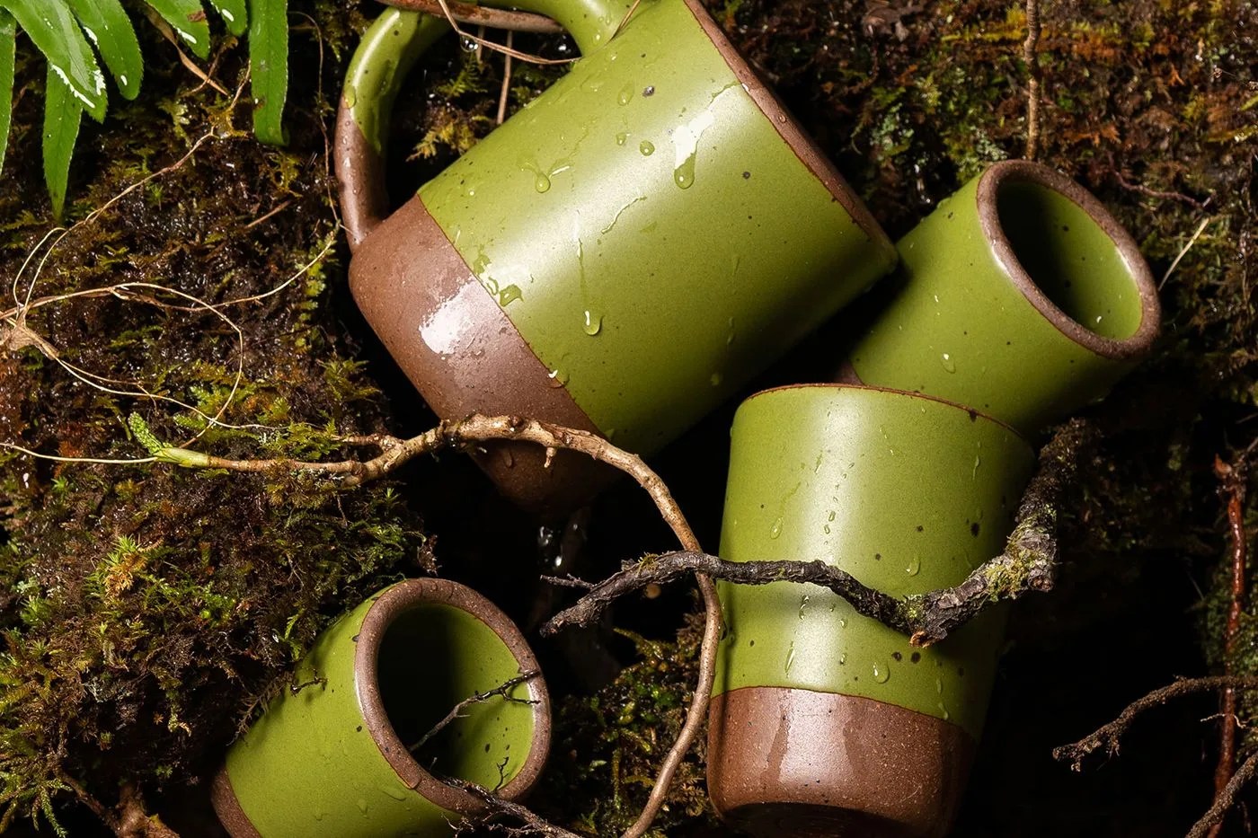 east fork fiddlehead mug