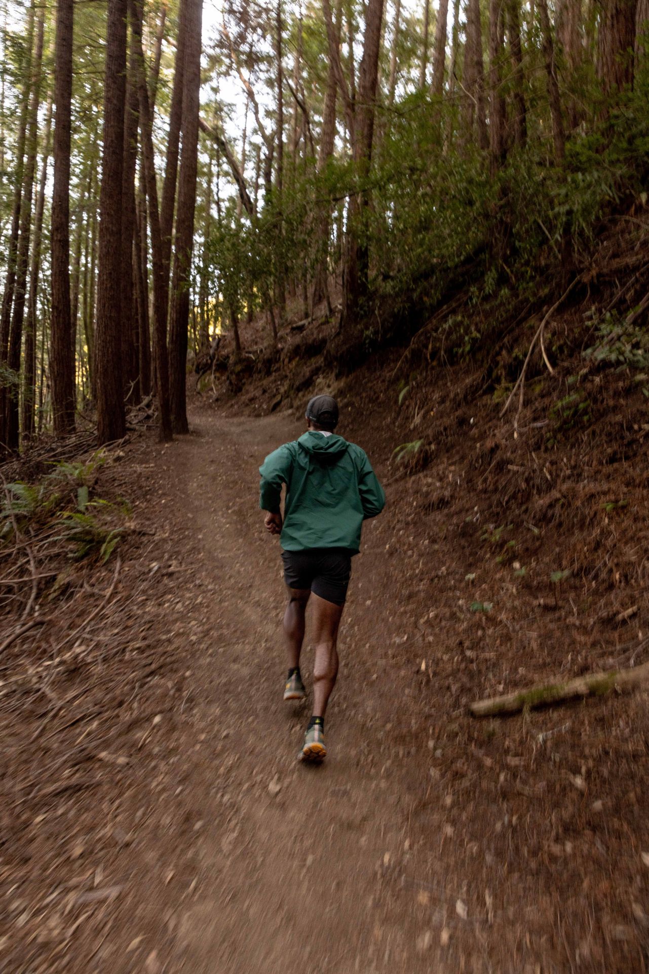 dezmond taylor douglas running up trail in forest
