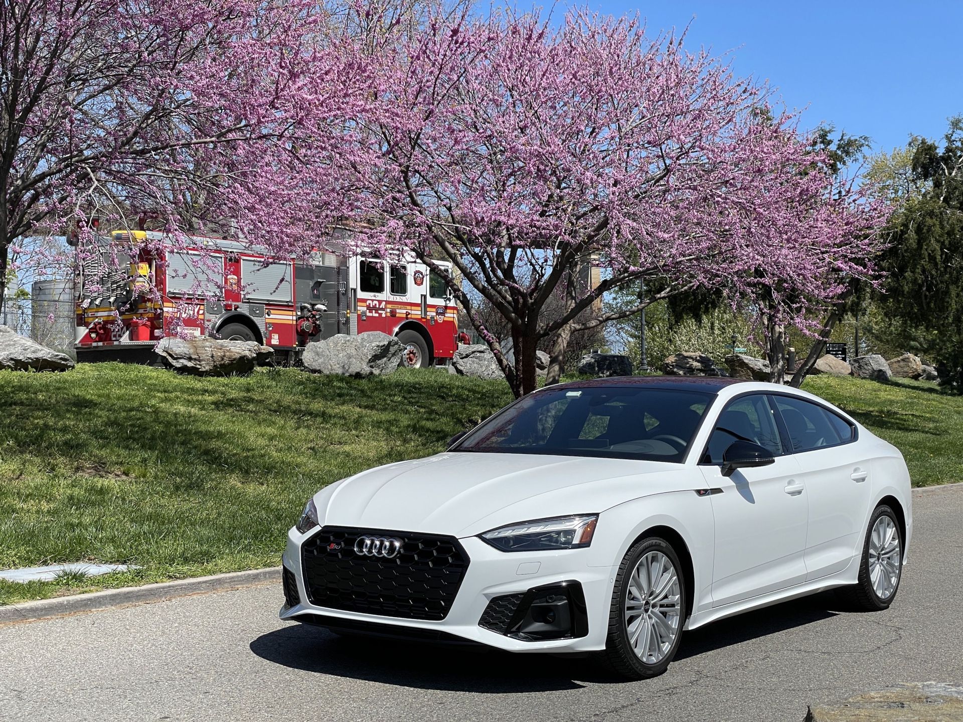 audi s5 sportback in front of cherry blossoms