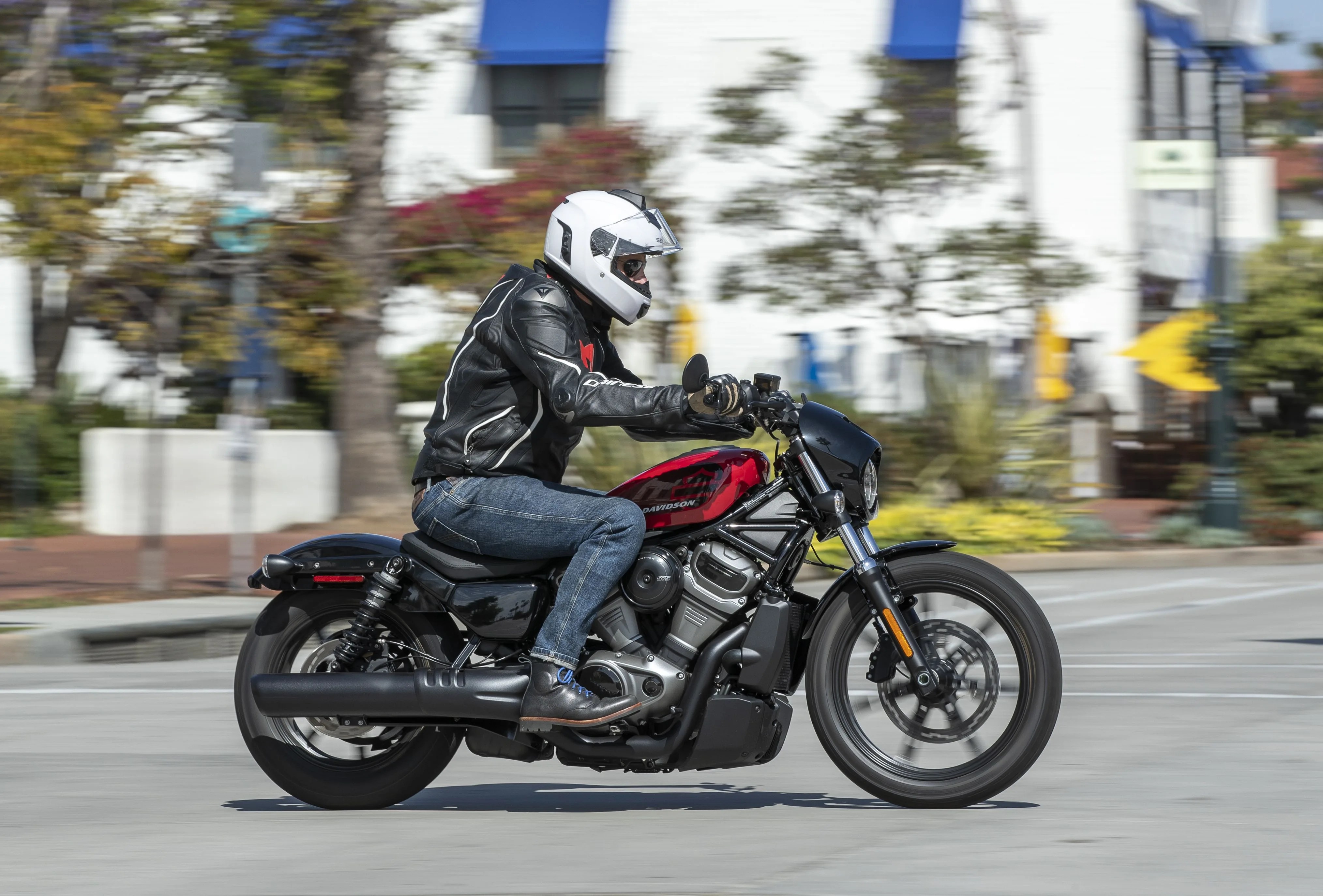 harley davidson nightster riding through santa barbara