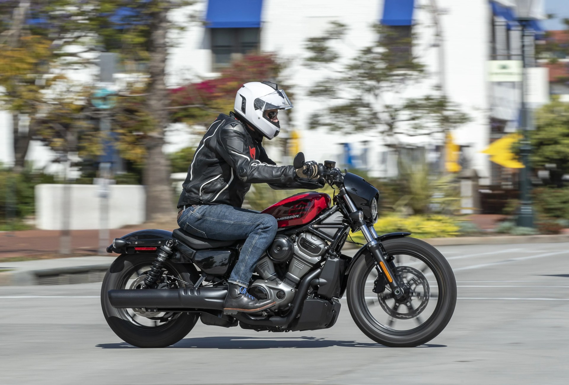 harley davidson nightster riding through santa barbara